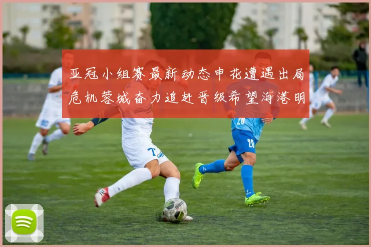 亚冠小组赛最新动态申花遭遇出局危机蓉城奋力追赶晋级希望海港明日迎战挑战