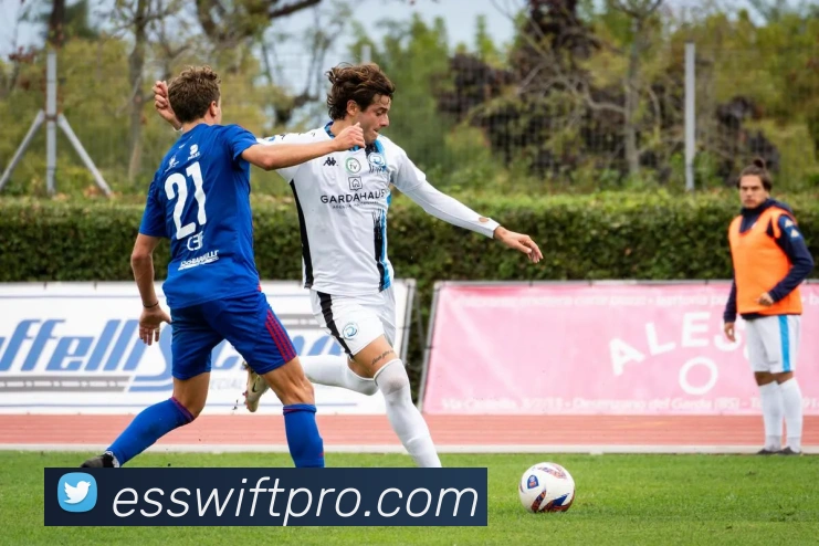 Esball(e世博)服务体系